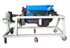 �S����Ͱl(f��)��(d��ng)�C(j��)��