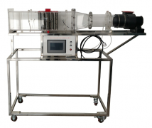 ���Ȍ�����������